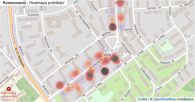 Kosmonautů - mapa podnikání