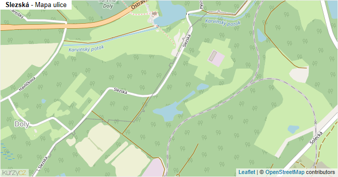 Slezská - mapa ulice