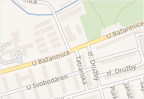 U Bažantnice v obci Karviná - mapa ulice