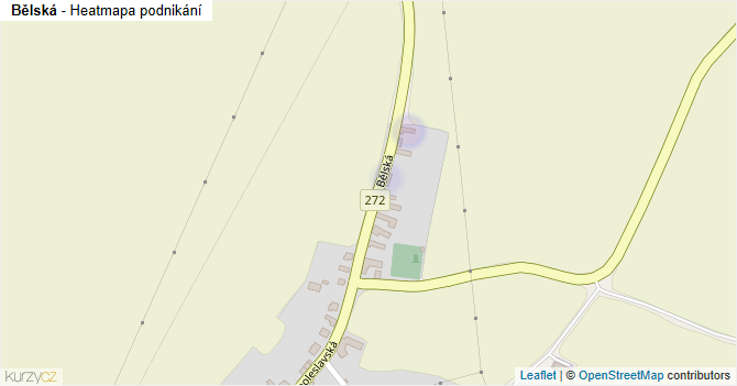 Bělská - mapa podnikání