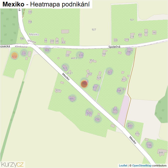 Mapa Mexiko - Firmy v ulici.