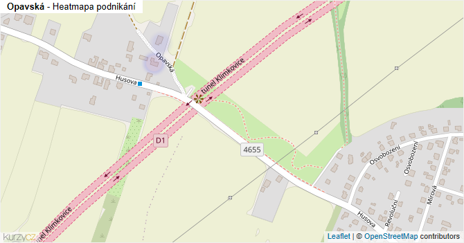 Opavská - mapa podnikání