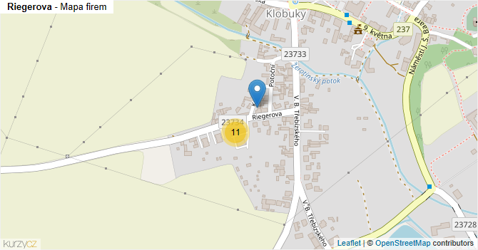 Riegerova - mapa firem