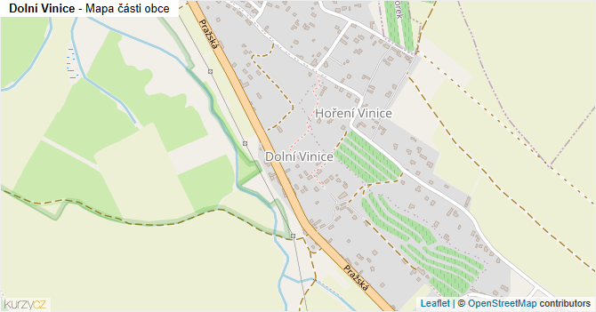 Dolní Vinice - mapa části obce