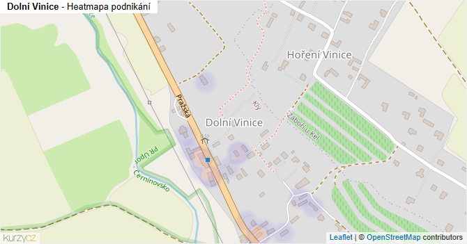 Dolní Vinice - mapa podnikání