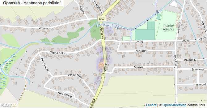 Opavská - mapa podnikání