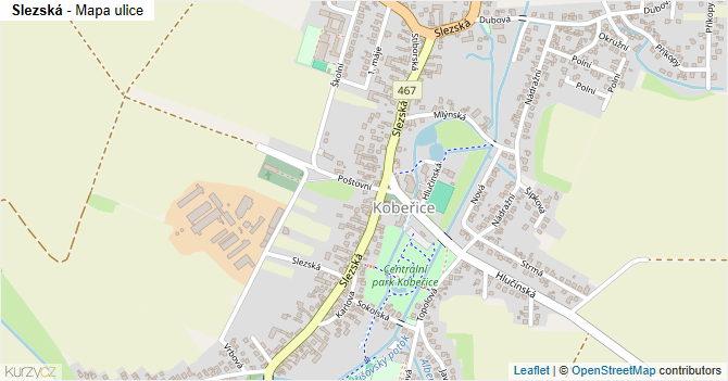 Slezská - mapa ulice