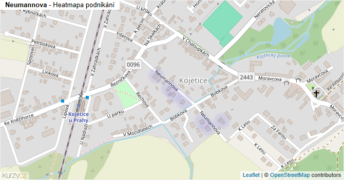 Neumannova - mapa podnikání