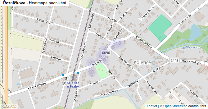 Řezníčkova - mapa podnikání