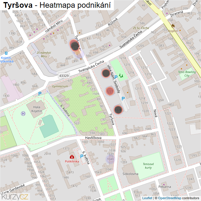Mapa Tyršova - Firmy v ulici.