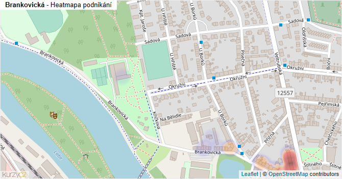 Brankovická - mapa podnikání