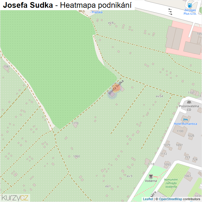 Mapa Josefa Sudka - Firmy v ulici.