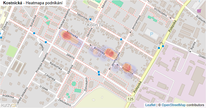 Kostnická - mapa podnikání