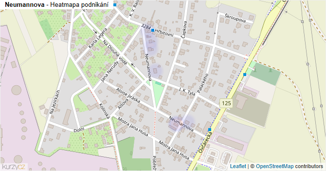 Neumannova - mapa podnikání