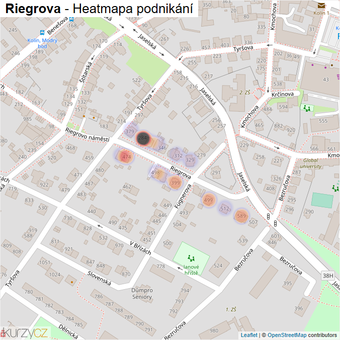 Mapa Riegrova - Firmy v ulici.