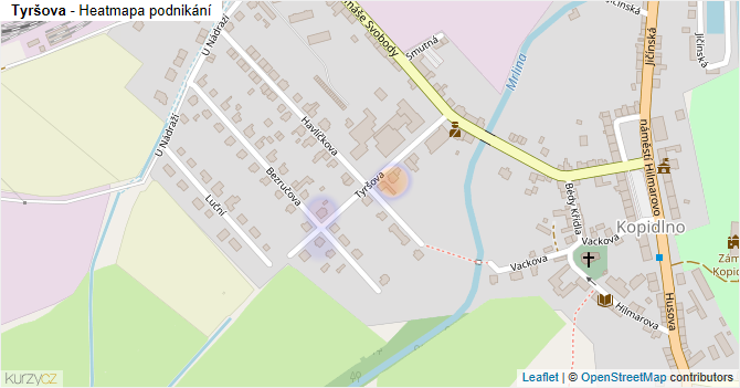 Tyršova - mapa podnikání
