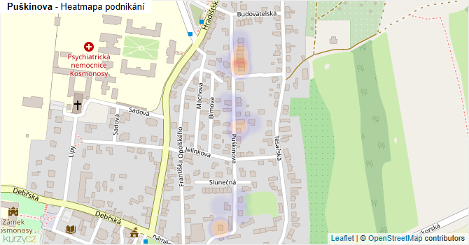 Puškinova - mapa podnikání