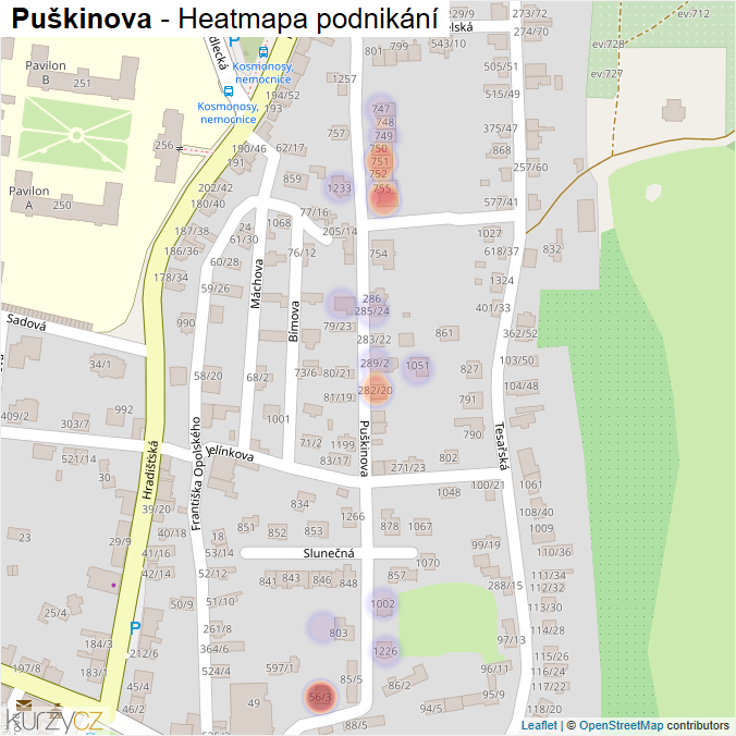 Mapa Puškinova - Firmy v ulici.