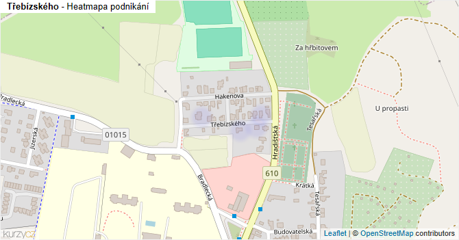 Třebízského - mapa podnikání