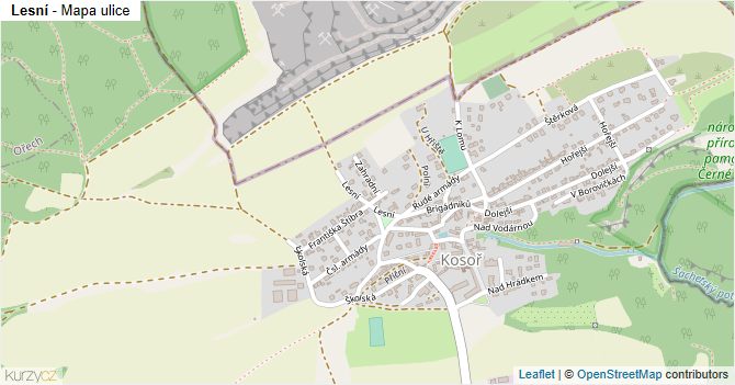 Lesní - mapa ulice