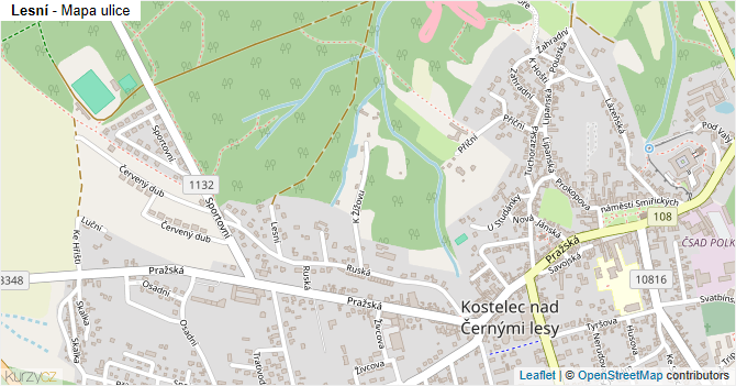 Lesní - mapa ulice