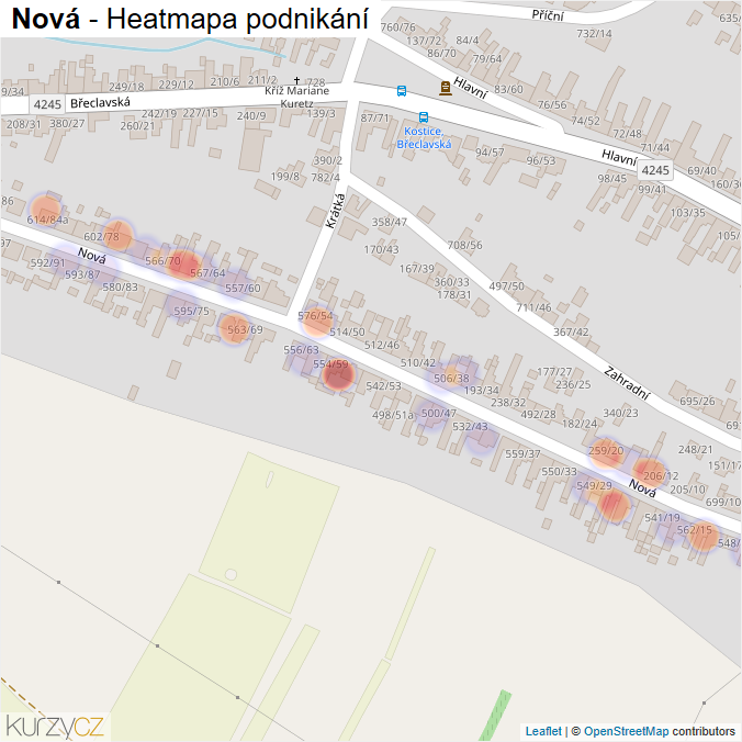 Mapa Nová - Firmy v ulici.