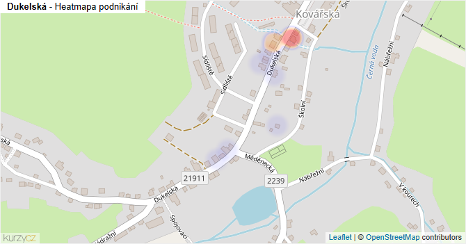 Dukelská - mapa podnikání