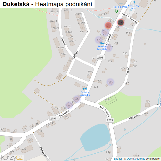 Mapa Dukelská - Firmy v ulici.