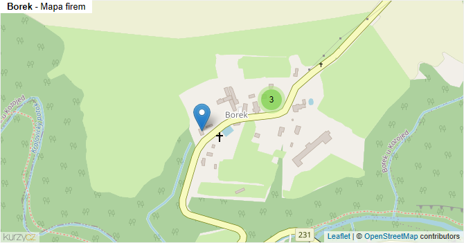 Borek - mapa firem