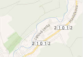 Lipová cesta v obci Kraslice - mapa ulice