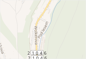 Pod lesem v obci Kraslice - mapa ulice