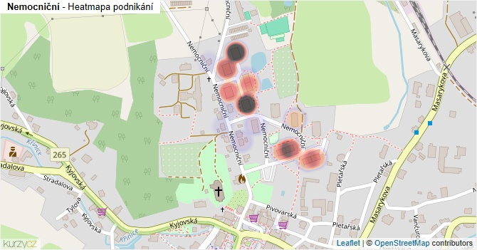 Nemocniční - mapa podnikání