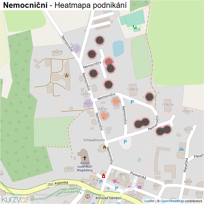 Mapa Nemocniční - Firmy v ulici.