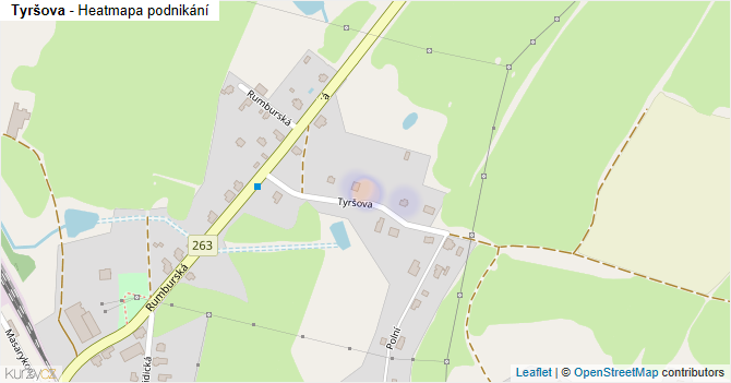 Tyršova - mapa podnikání