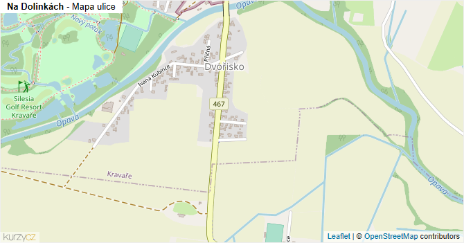 Na Dolinkách - mapa ulice