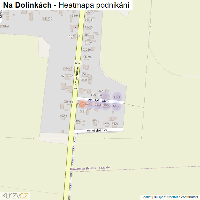 Mapa Na Dolinkách - Firmy v ulici.
