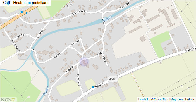 Cejl - mapa podnikání