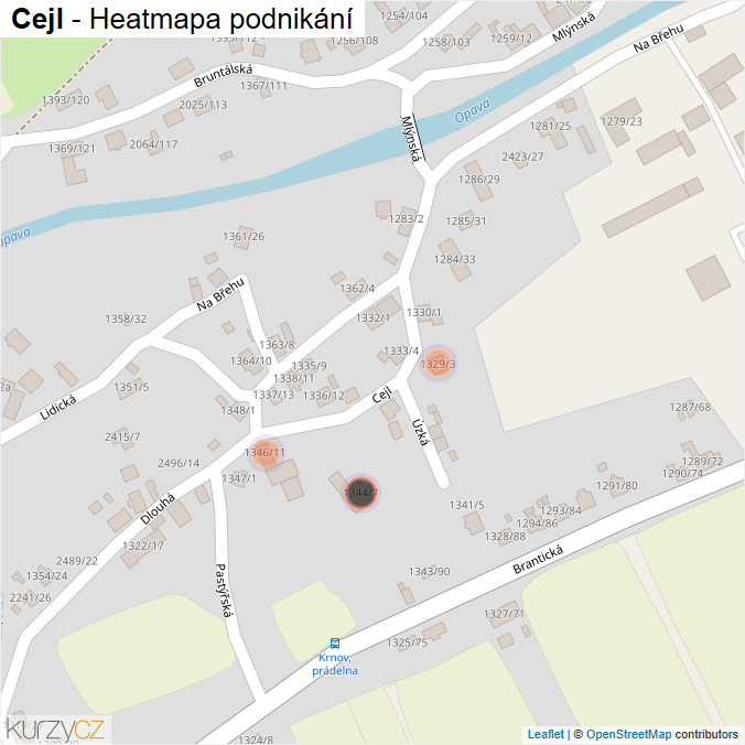 Mapa Cejl - Firmy v ulici.