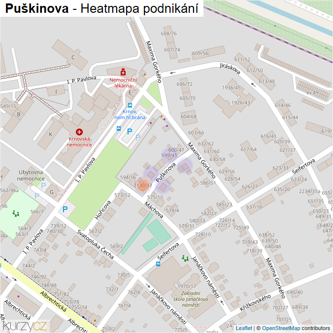 Mapa Puškinova - Firmy v ulici.