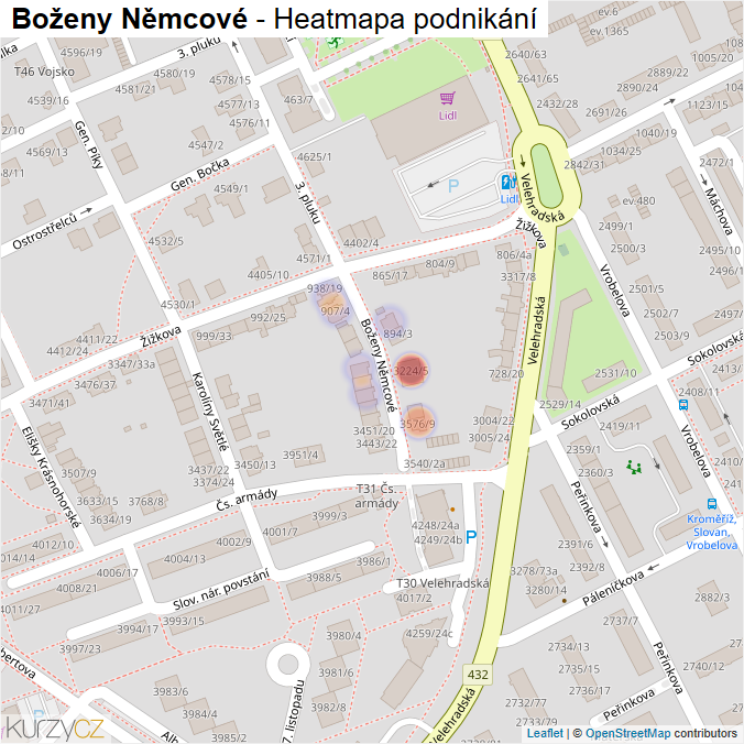 Mapa Boženy Němcové - Firmy v ulici.
