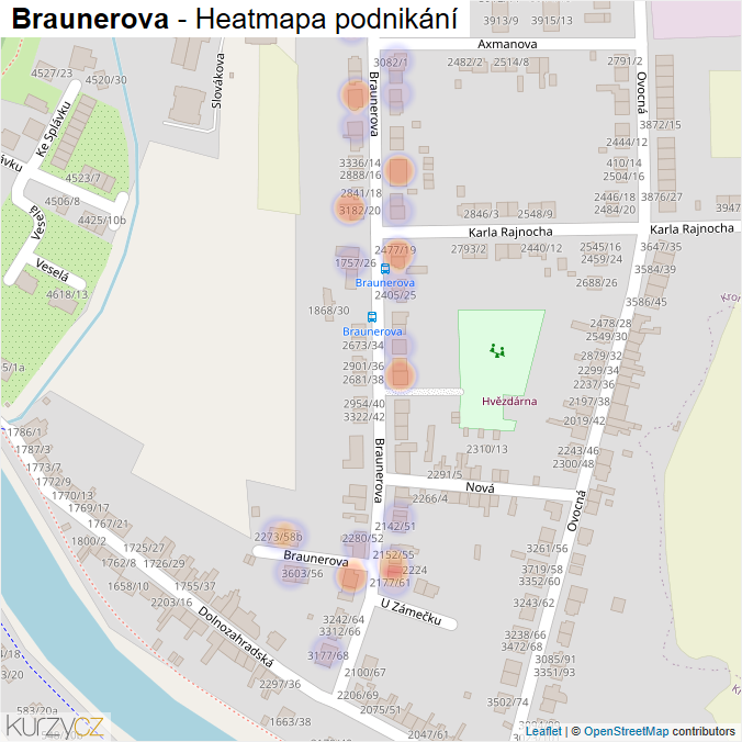 Mapa Braunerova - Firmy v ulici.