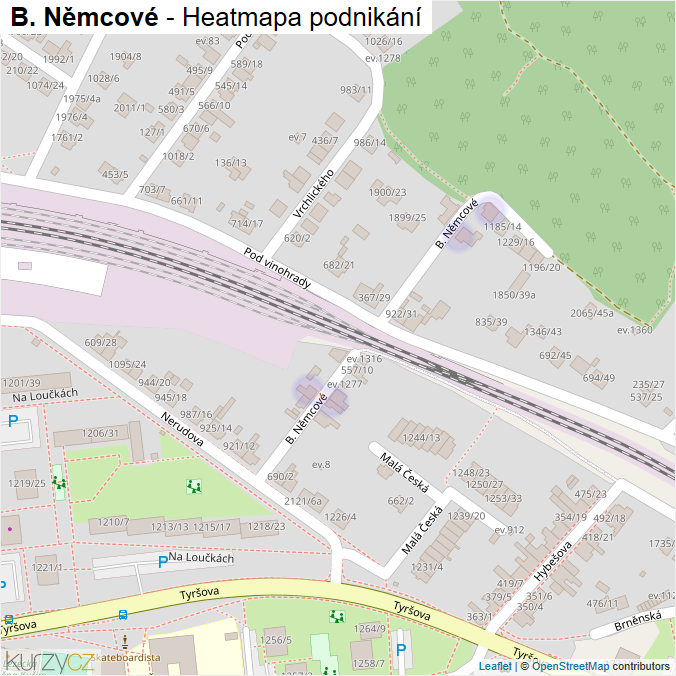 Mapa B. Němcové - Firmy v ulici.