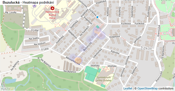Buzulucká - mapa podnikání