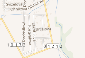 Brčálová v obci Květnice - mapa ulice
