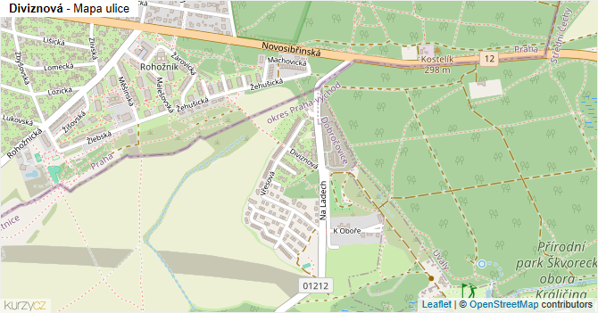 Diviznová - mapa ulice