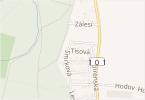 Tisová v obci Květnice - mapa ulice