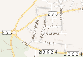 Pod lesem v obci Lány - mapa ulice