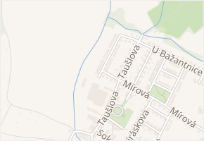 U Potoka v obci Letohrad - mapa ulice
