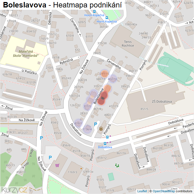 Mapa Boleslavova - Firmy v ulici.
