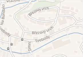 Březový vrch v obci Liberec - mapa ulice